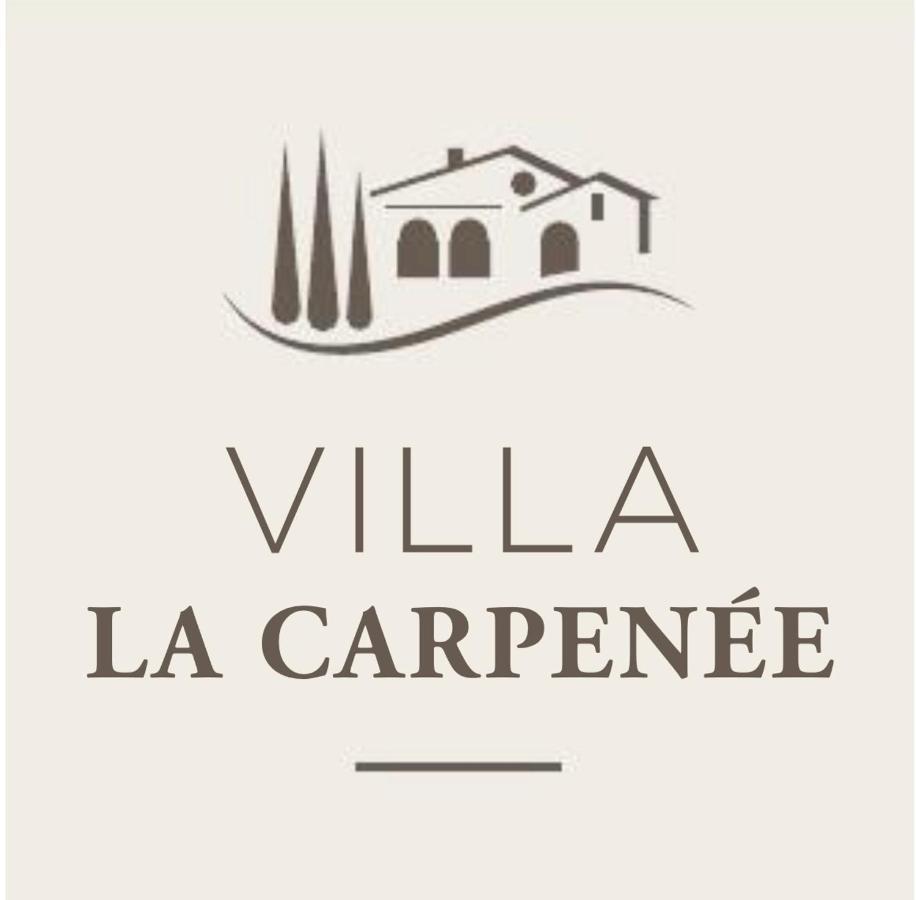 Villa La Carpenee روكفور-لا-بين المظهر الخارجي الصورة