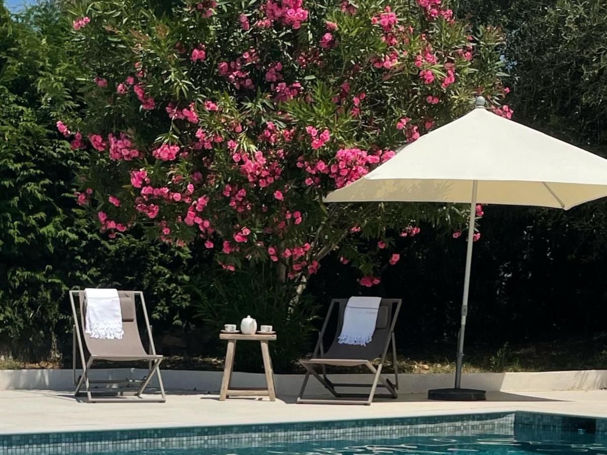 Villa La Carpenee روكفور-لا-بين المظهر الخارجي الصورة