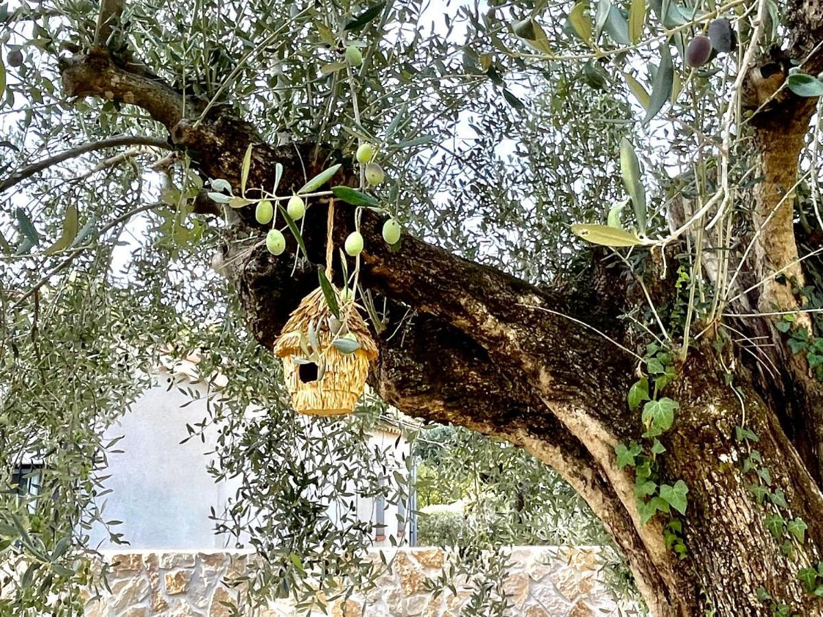 Villa La Carpenee روكفور-لا-بين المظهر الخارجي الصورة