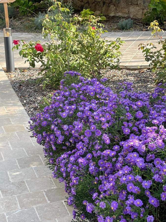 Villa La Carpenee روكفور-لا-بين المظهر الخارجي الصورة